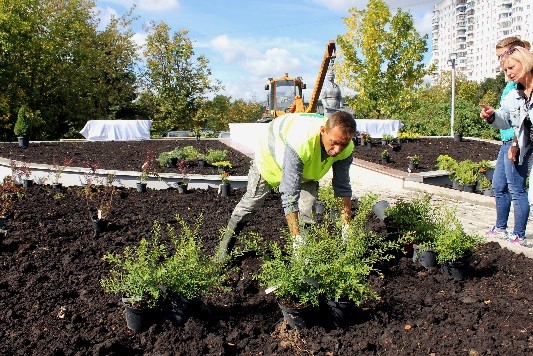 Облагораживание территории